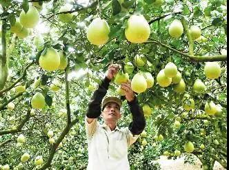 出口外貿(mào)代理