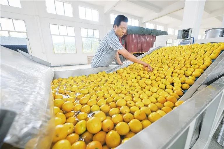 出口外貿(mào)代理