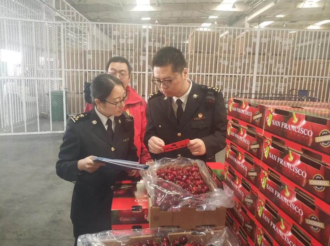 出口外貿(mào)代理