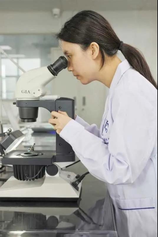 進(jìn)口外貿(mào)代理