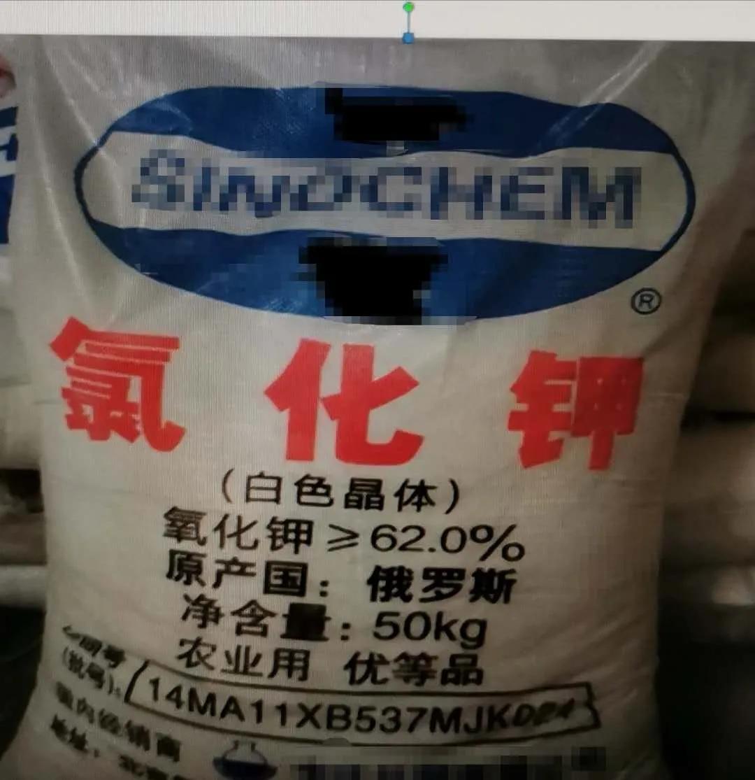 進(jìn)口外貿(mào)代理