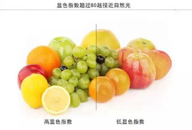 進(jìn)口外貿(mào)代理