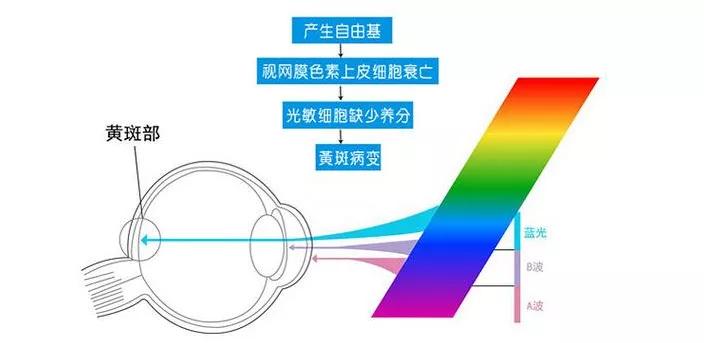 進(jìn)口外貿(mào)代理