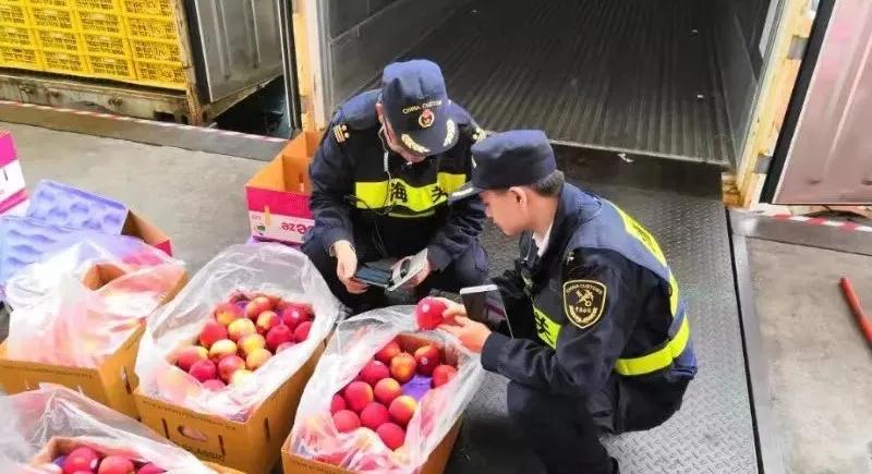 出口外貿(mào)代理