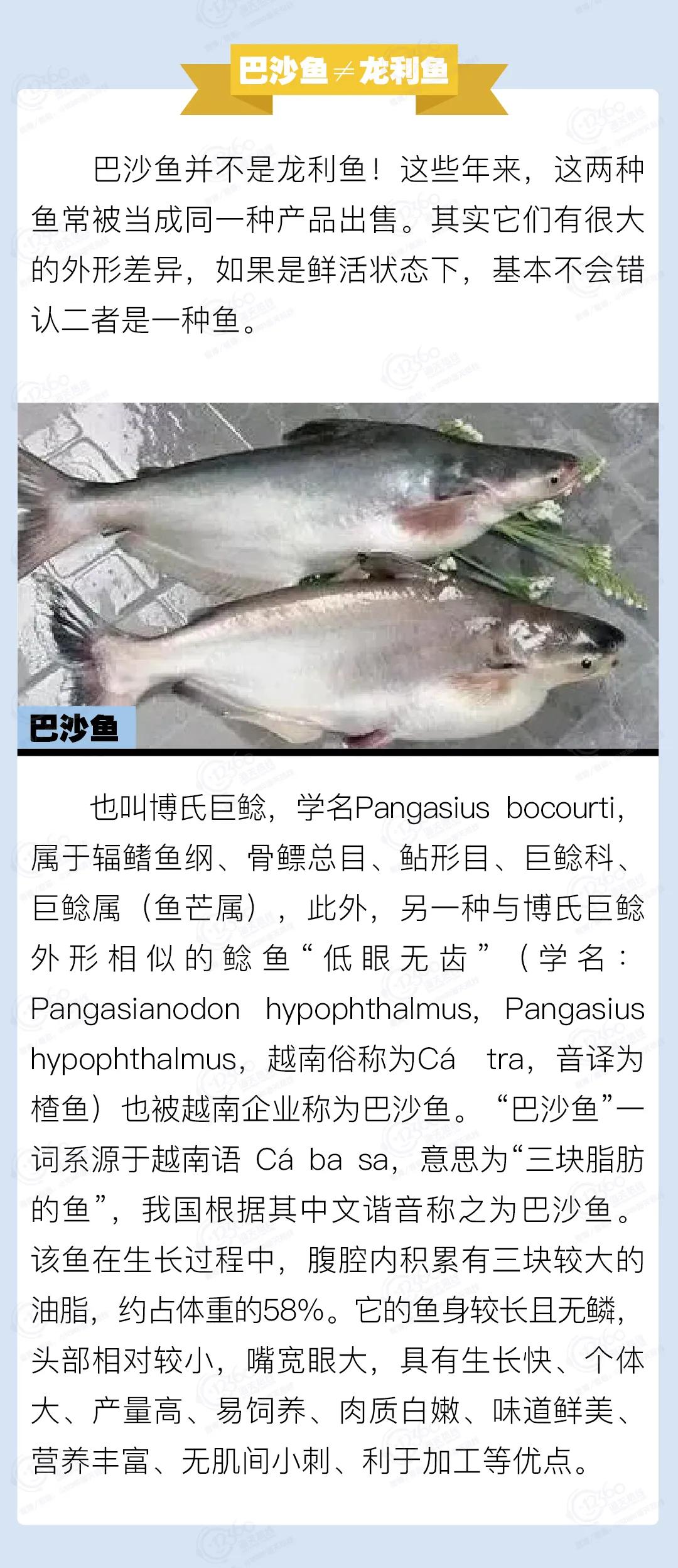 進(jìn)口外貿(mào)代理