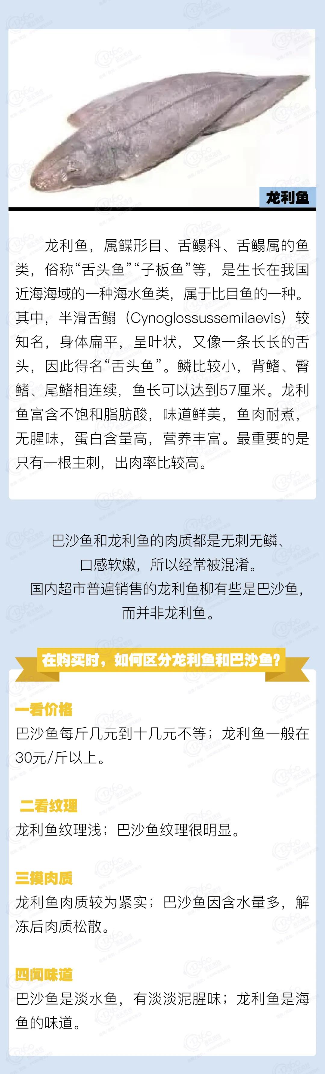 進(jìn)口外貿(mào)代理