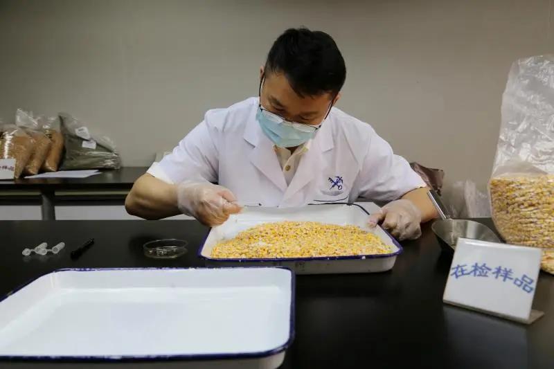 進口外貿(mào)代理