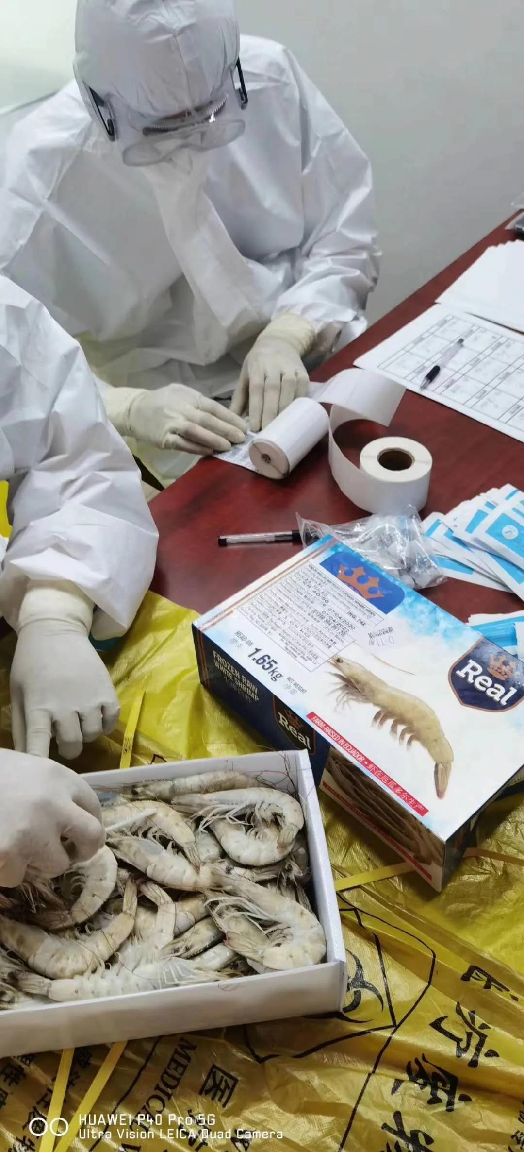 進(jìn)口外貿(mào)代理