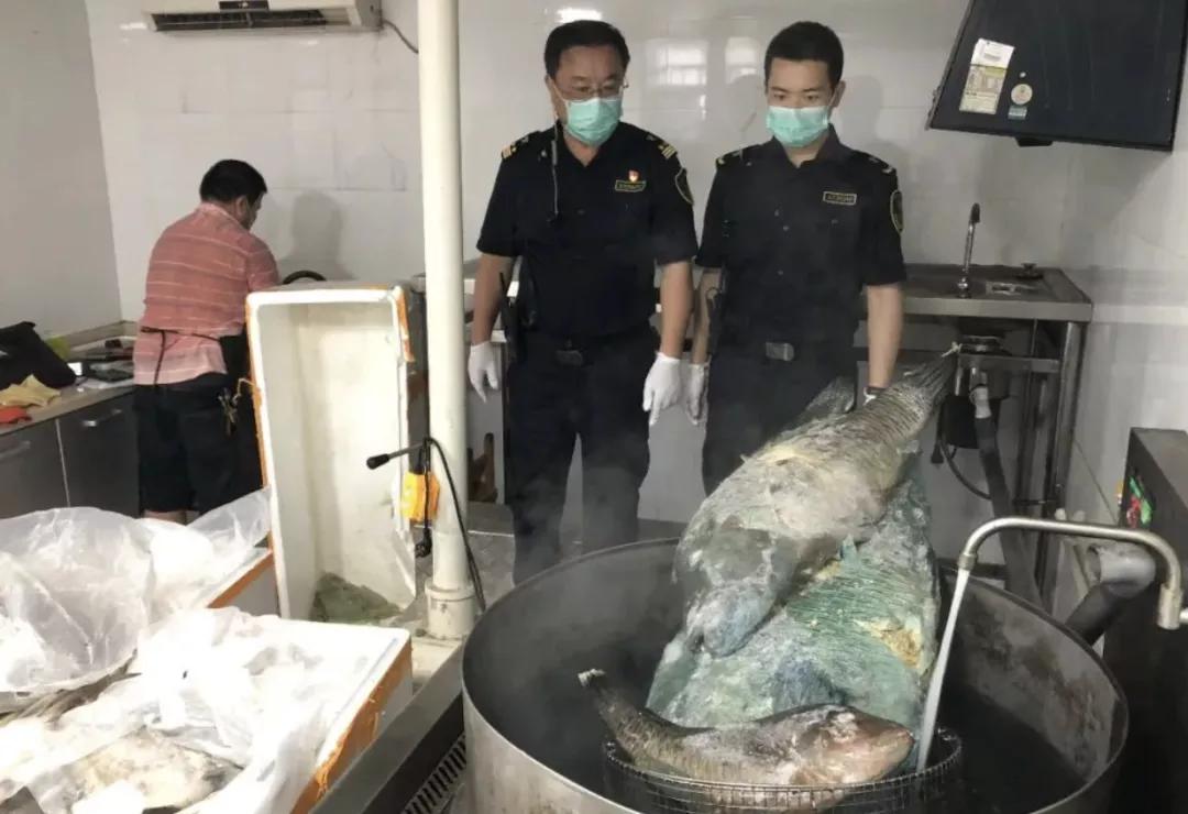 進(jìn)口外貿(mào)代理