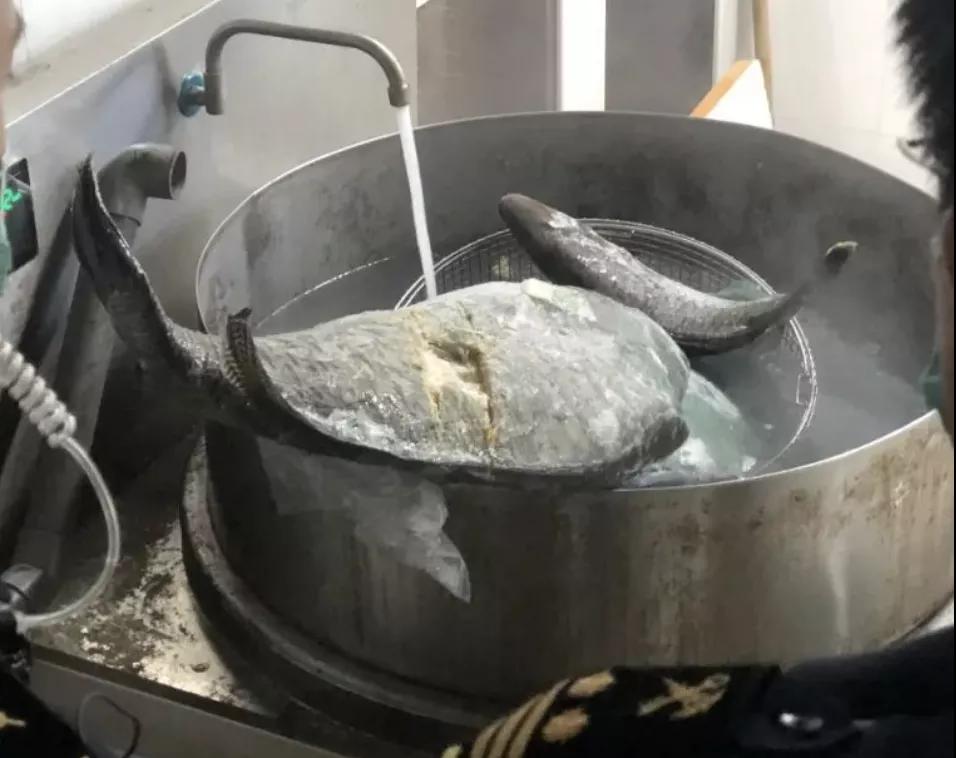 進(jìn)口外貿(mào)代理