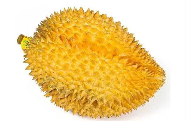 進(jìn)口外貿(mào)代理