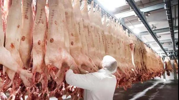 進(jìn)口外貿(mào)代理