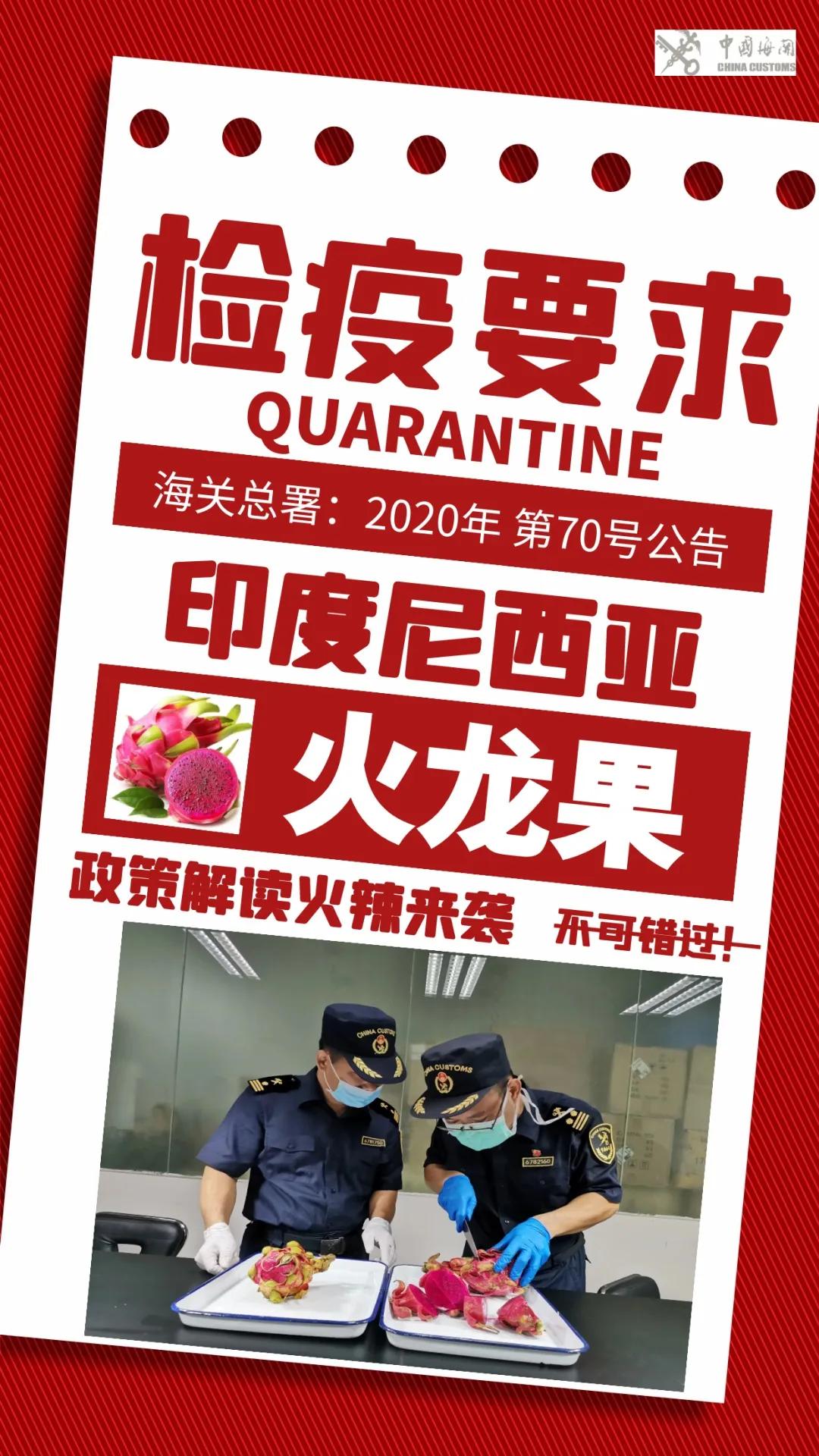 進(jìn)口外貿(mào)代理