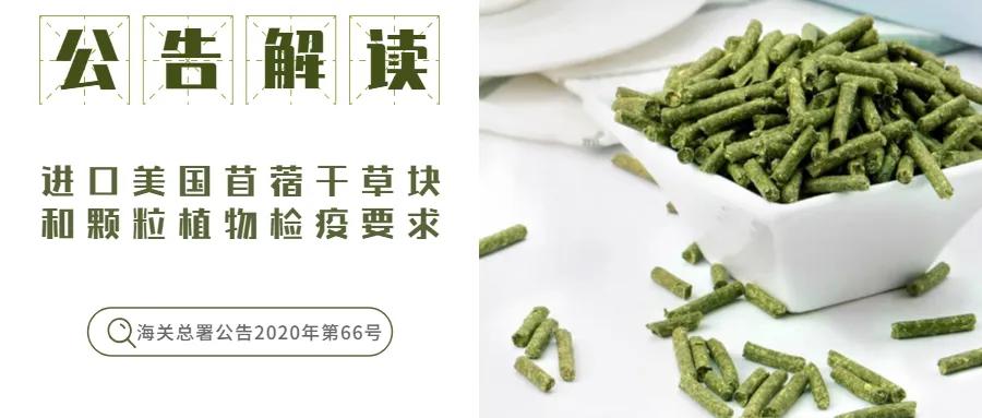 進(jìn)口外貿(mào)代理