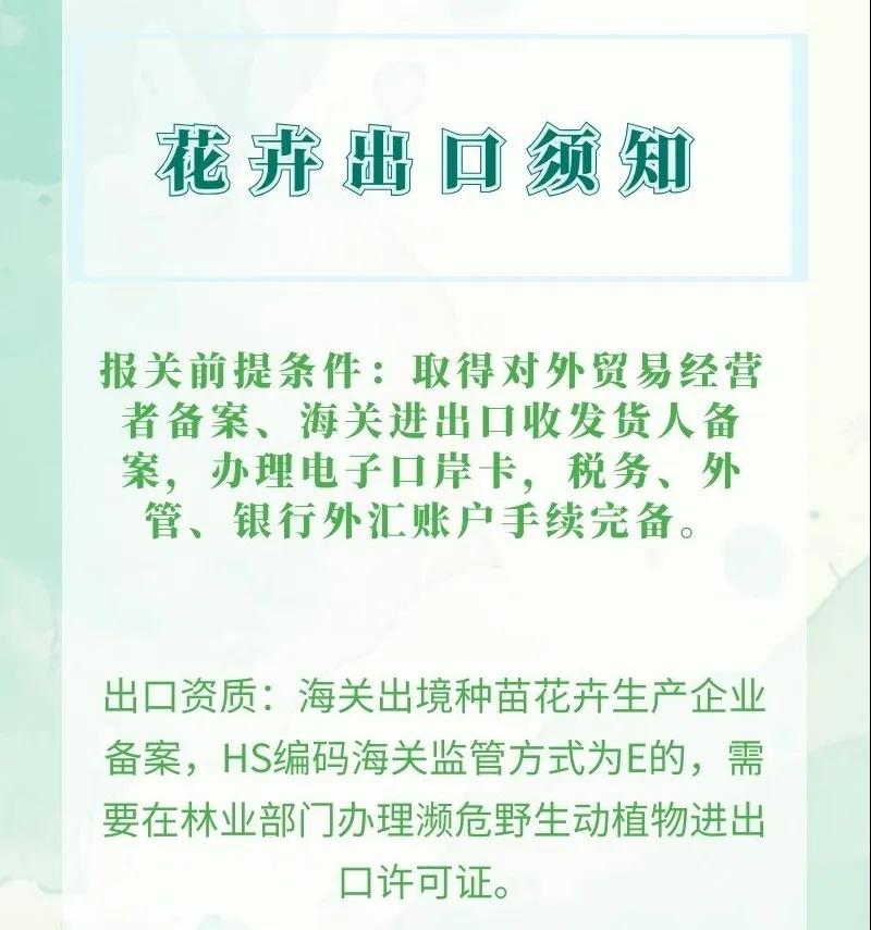 出口外貿(mào)代理