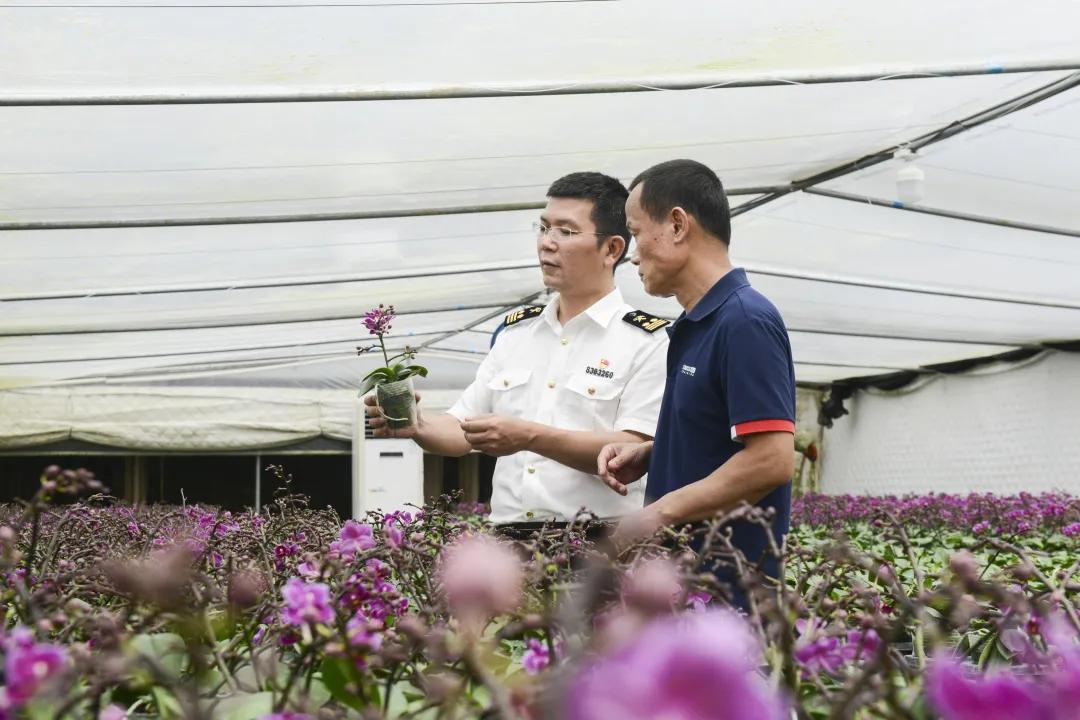 出口外貿(mào)代理