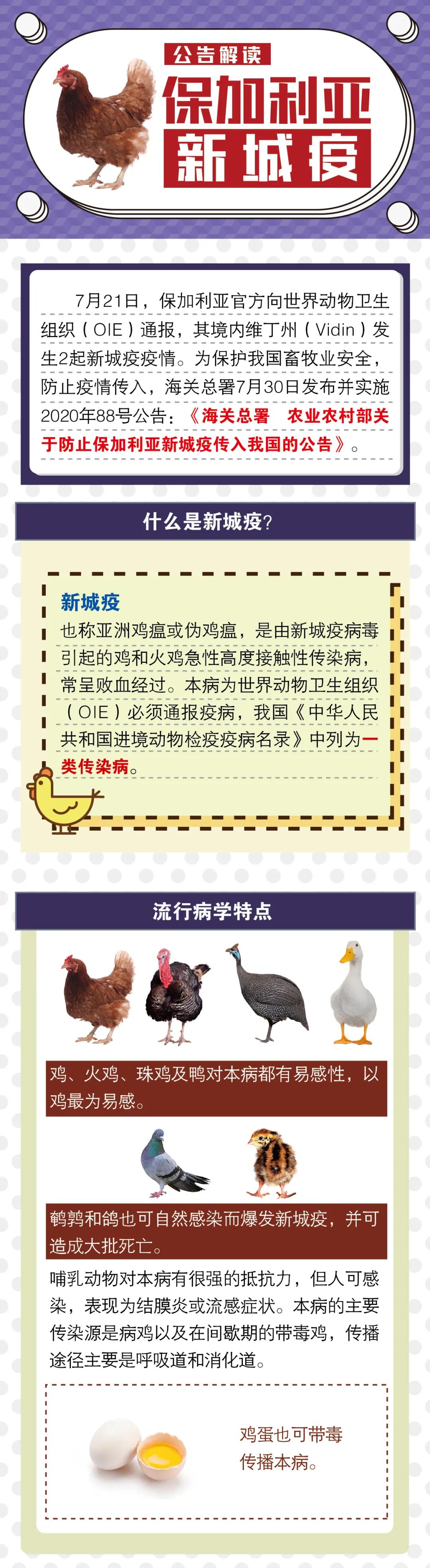 進(jìn)口外貿(mào)代理