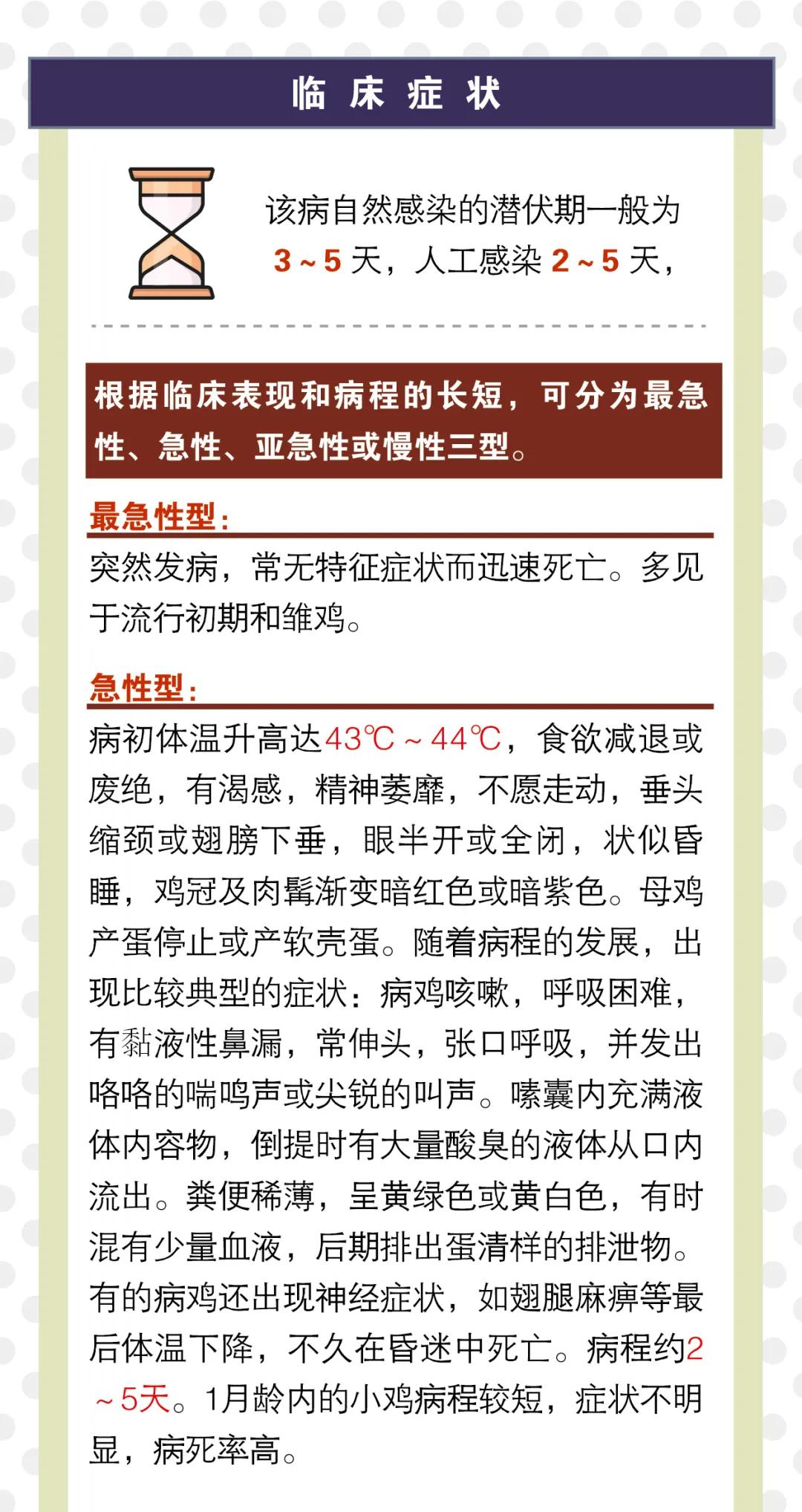 出口外貿(mào)代理