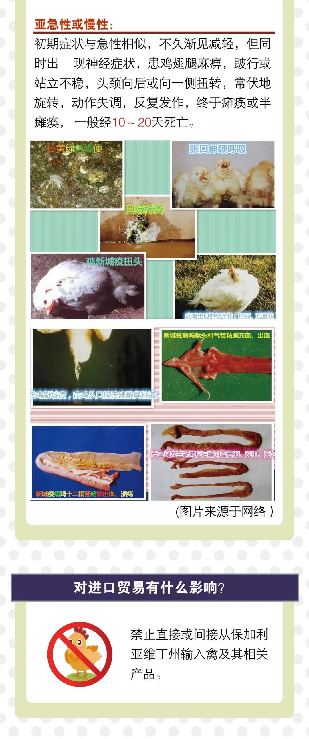 出口外貿(mào)代理