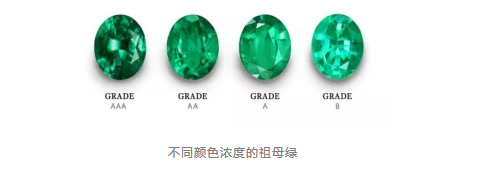 進口外貿(mào)代理