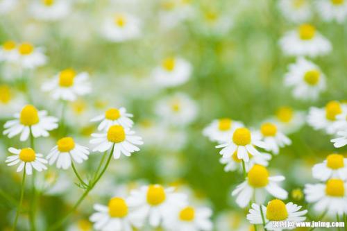 進(jìn)口外貿(mào)代理