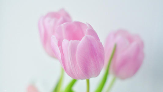 進(jìn)口外貿(mào)代理