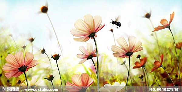 進(jìn)口外貿(mào)代理