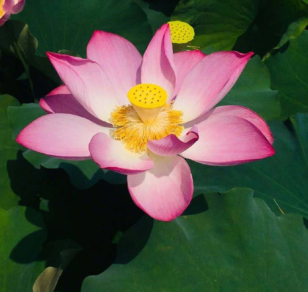 進(jìn)口外貿(mào)代理