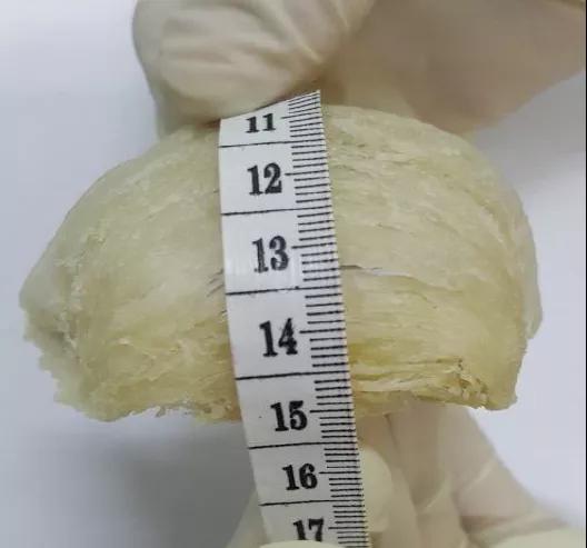 進口外貿(mào)代理