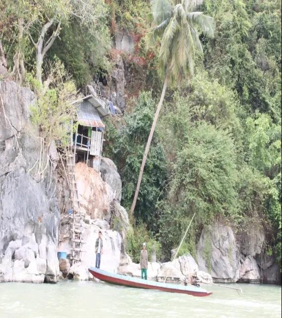 進口外貿(mào)代理