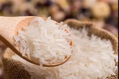 進(jìn)口外貿(mào)代理