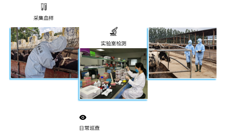 進(jìn)口外貿(mào)代理