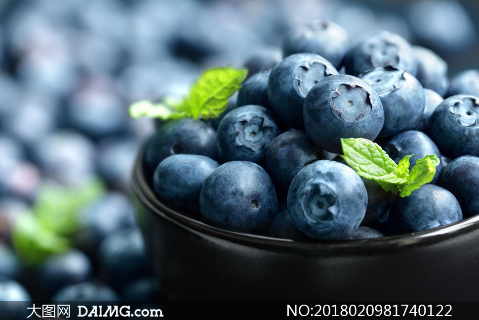 進(jìn)口外貿(mào)代理