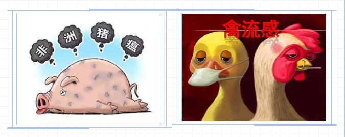 出口外貿(mào)代理