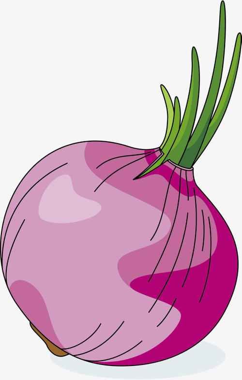 進口外貿(mào)代理