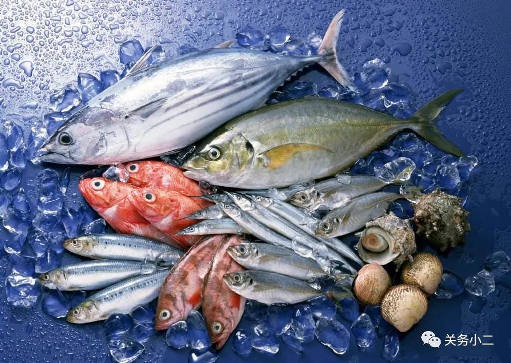 進(jìn)口外貿(mào)代理