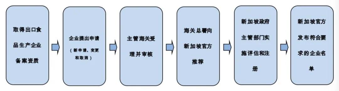 出口外貿(mào)代理