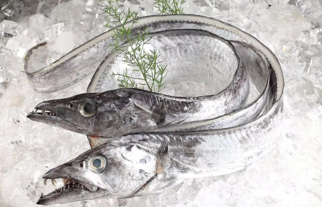 進(jìn)口外貿(mào)代理