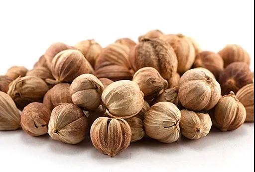 進(jìn)口外貿(mào)代理