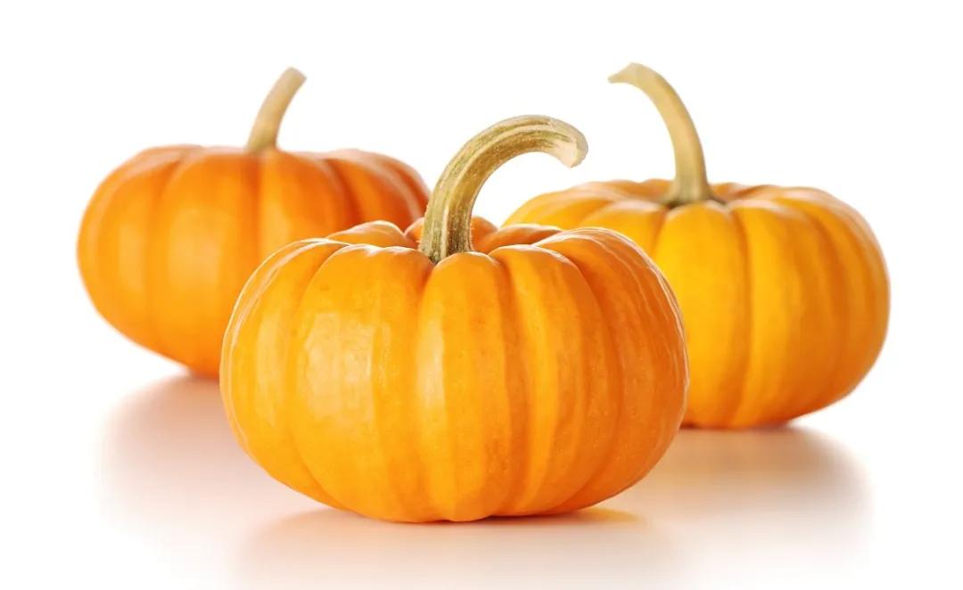 進(jìn)口外貿(mào)代理