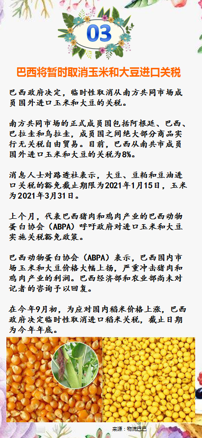 進口外貿(mào)代理