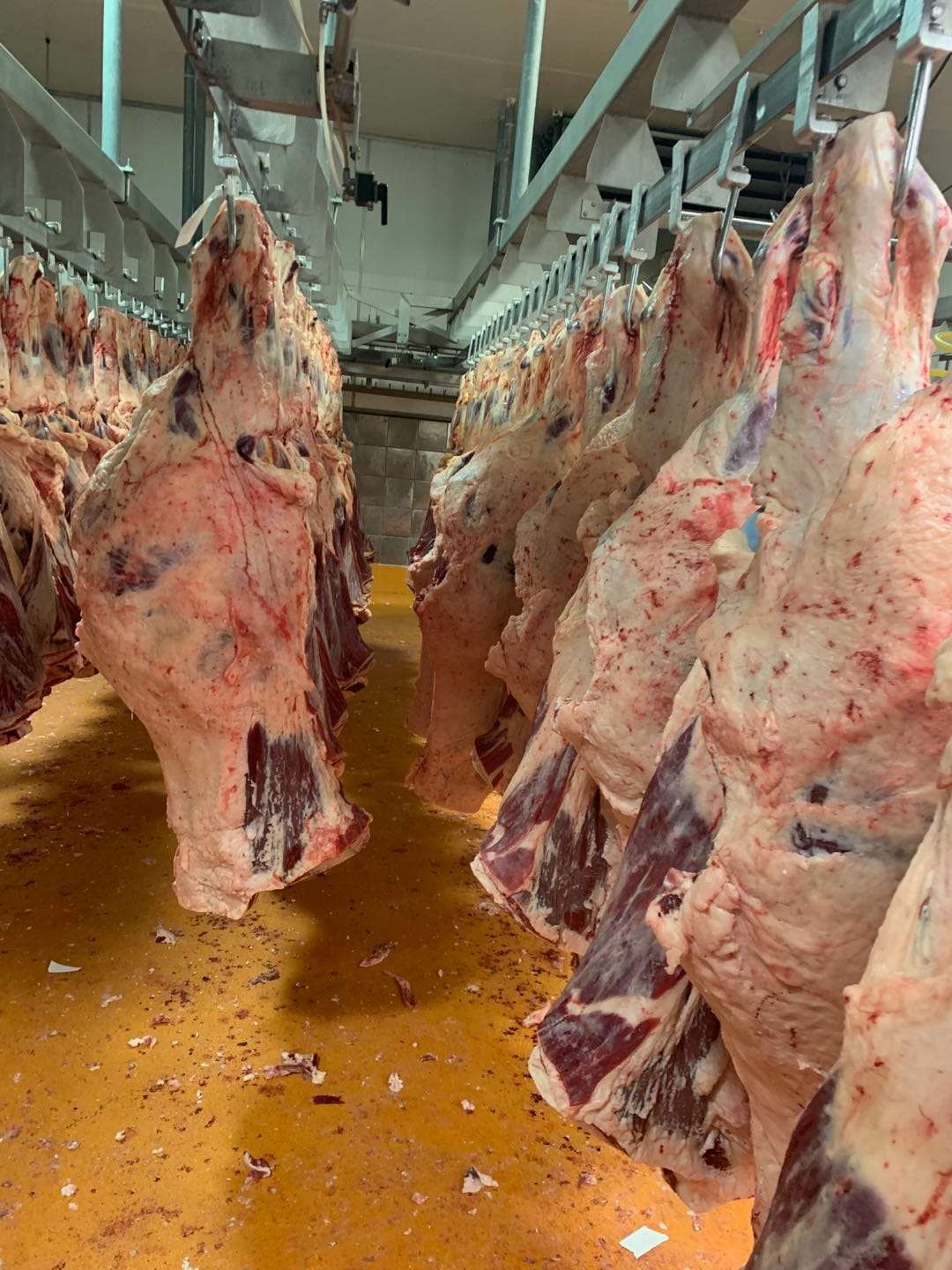 肉類(lèi)進(jìn)口外貿(mào)代理