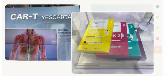 進(jìn)博清關(guān)公司