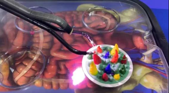 進(jìn)博清關(guān)公司