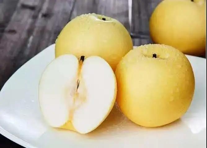 進(jìn)口外貿(mào)代理