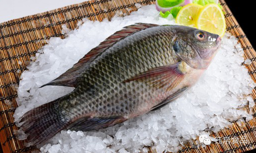 進(jìn)口外貿(mào)代理