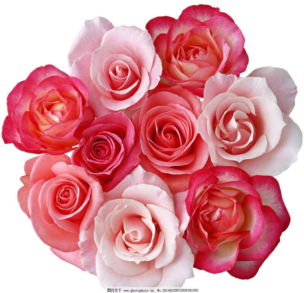 進(jìn)口外貿(mào)代理