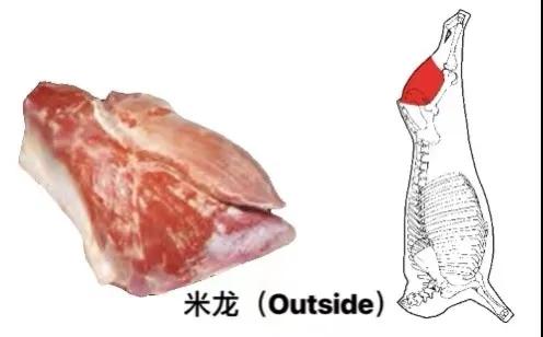 進(jìn)口外貿(mào)代理