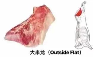 進(jìn)口外貿(mào)代理