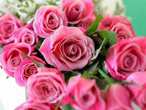 進口外貿(mào)代理